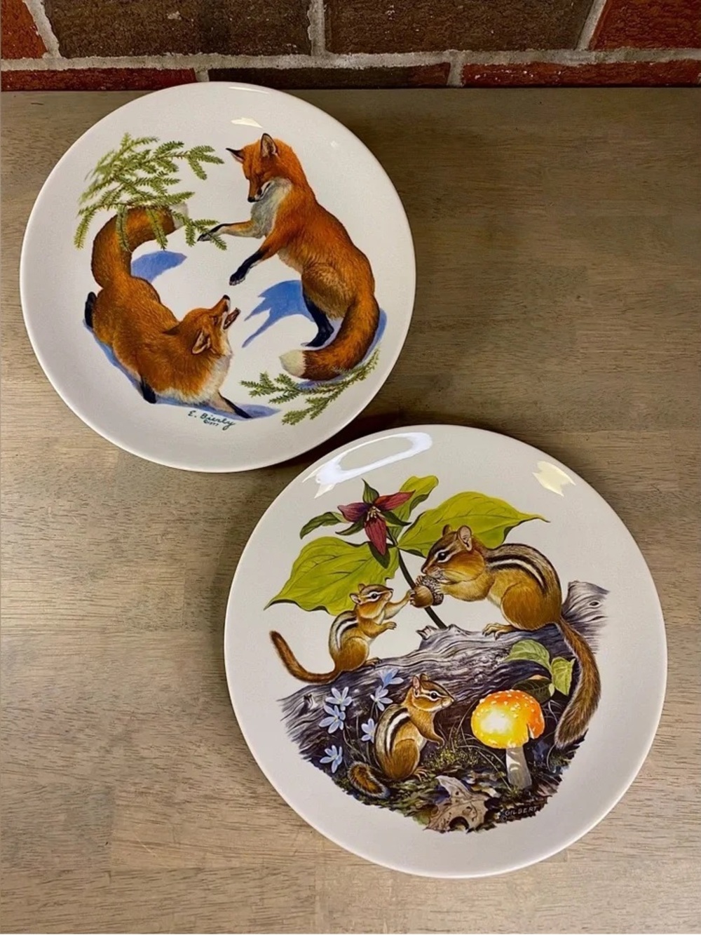 White Ceramic Decorative Plates with Fox & Chipmunk Nature Illustrations